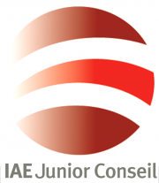 IAE Junior Conseil
