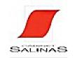 CABINET SALINAS - SOCIETE D