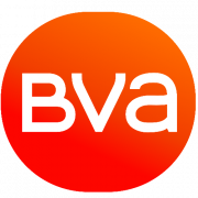 BVA Group