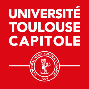 Logo TSM